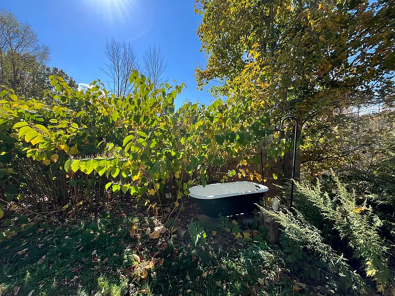 8561 Park St #A — Photo 13