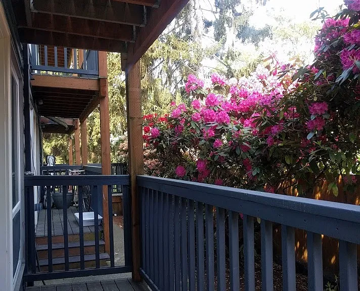 Marine Vista — Photo 17