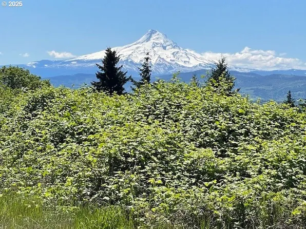 802 W Jewett Blvd, White Salmon, WA 98672