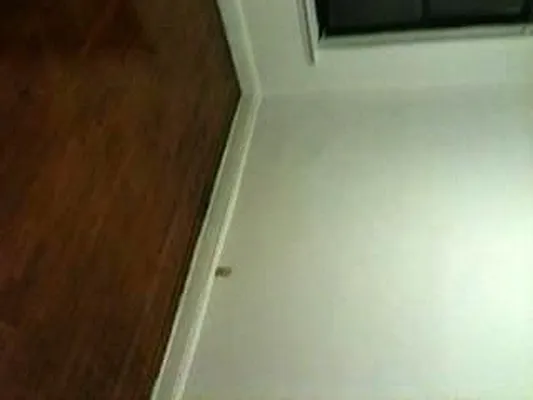 Rented by Anthony Mariano, lreb | media 9