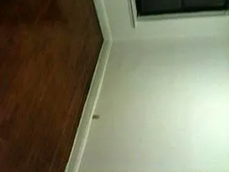 Rented by Anthony Mariano, lreb