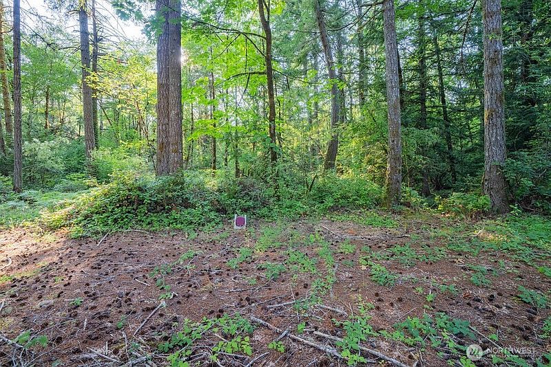 4th image of 1952 E Agate Road