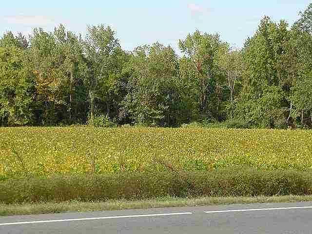 1st image of 1308 N US Hwy 15/501