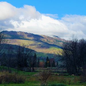 129 Orchard Ln, Ashland, OR, 97520