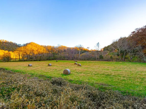 0 Flower Gap Rd, Blackwater, VA 24221