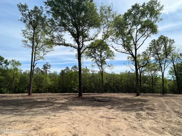 220 Prison Ridge Rd, Leakesville, MS 39451