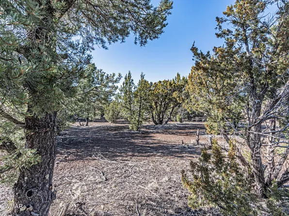 7 County Road 3589, Vernon, AZ 85940