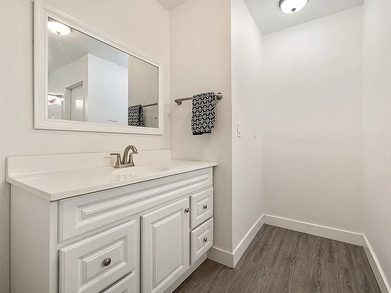 Master bathroom vanity