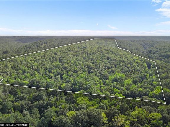 3rd image of 8050 Cuba Landing Rd