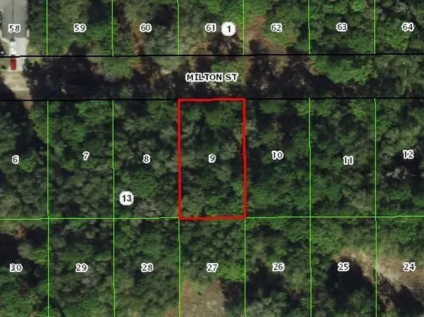 2007 Milton St, Inverness, FL 34453