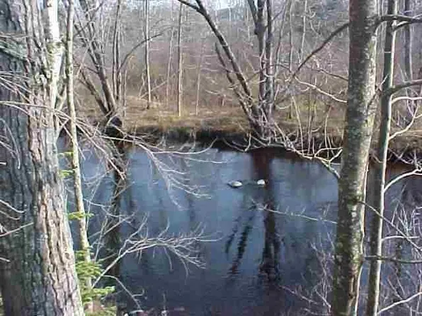 Lot 4 WOOD DUCK LANE, Merrill, WI 54452