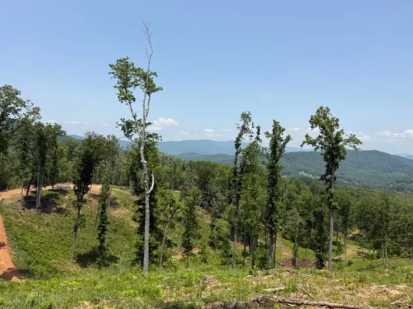 293 S Carter Cove Rd, Hayesville, NC 28904