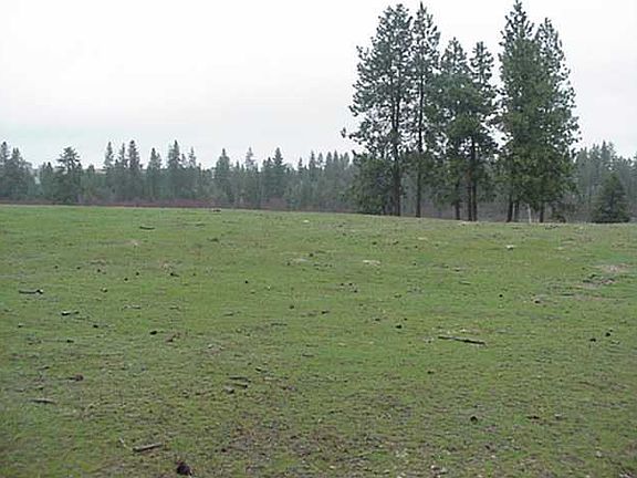 2nd image of 0 W Saddlemule Ln