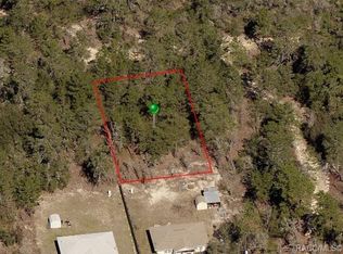 2901 Hillery St, Inverness, FL 34452