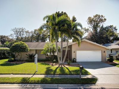 1812 Pine Hill Dr, Safety Harbor, FL, 34695