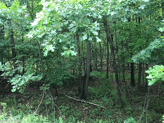 5th image of 112 Swamp Brook Path