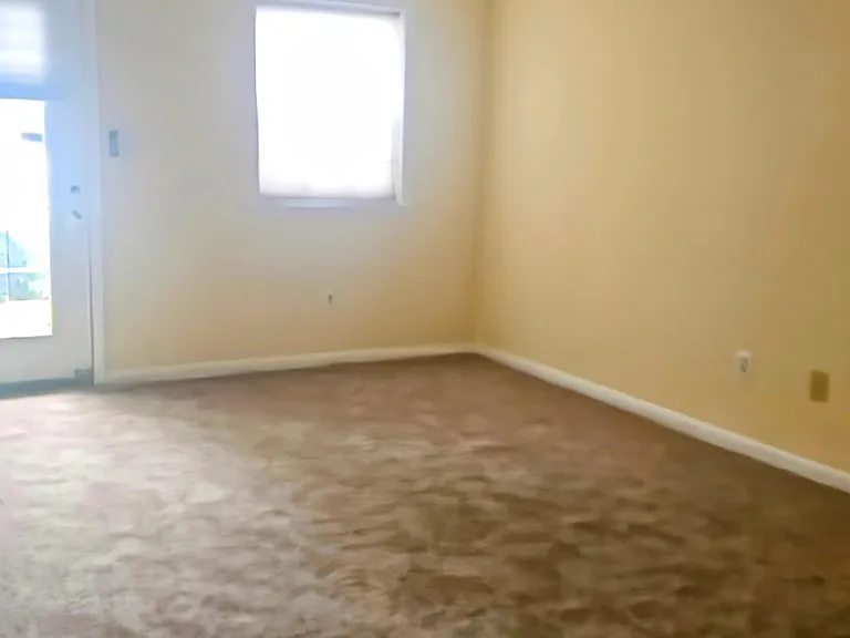 6834B Brindle Heath Way #234 — Photo 22