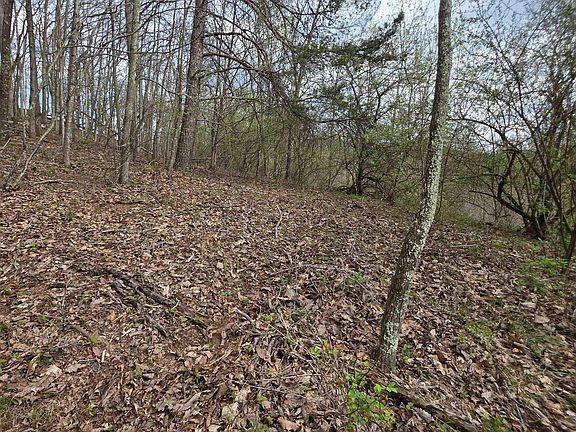 5th image of Crooked Fork Rd