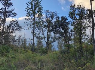 11 2216th #53, Volcano, HI 96785