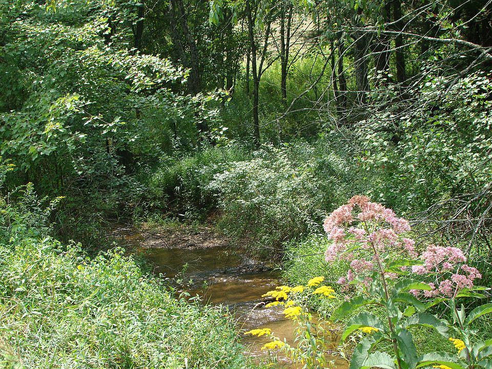 Creek