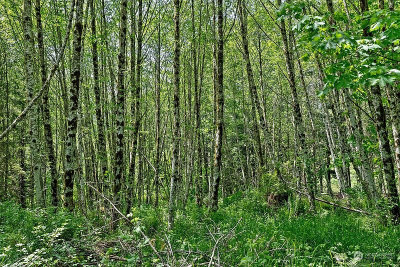3rd image of 162 Owl Creek Lane