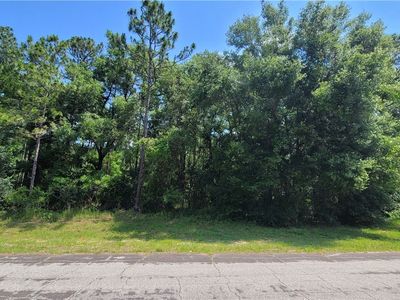 10079 N Athenia Dr, Citrus Springs, FL, 34434
