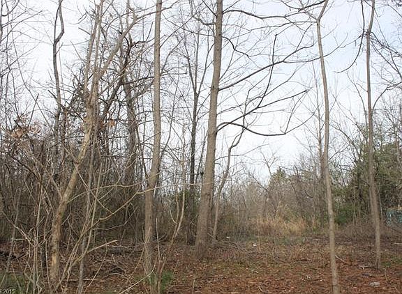 3rd image of 37 Busbee View Cir