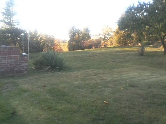 Large backyard-pm sunshine