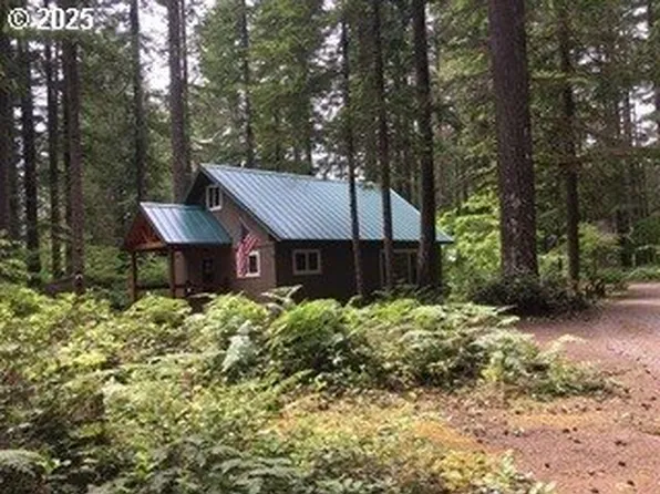 Cabin 38 Northwoods, Cougar, WA 98616