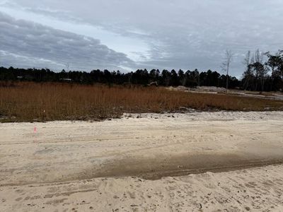 6 Wiregrass Ln, Waycross, GA, 31501