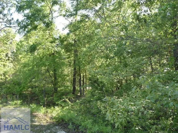 27 Chestnut Ln, Garfield, GA 30425