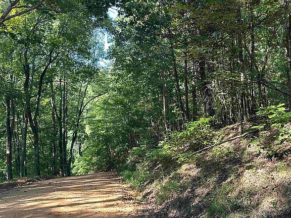 3rd image of 751 Paradise Dr Lot 108