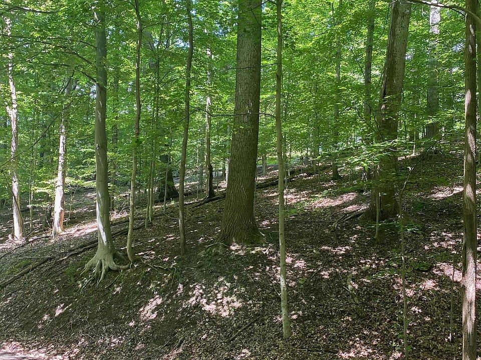 1st image of 689 Natchez Ln