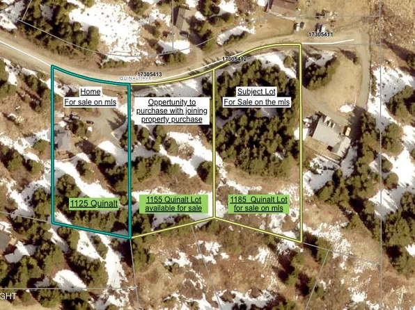 1185 Quinalt Ave, Homer, AK 99603