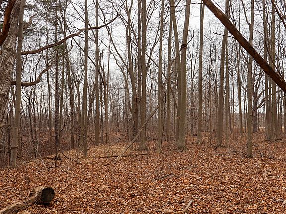 5th image of Sparling & Mayer Rd Lot 4