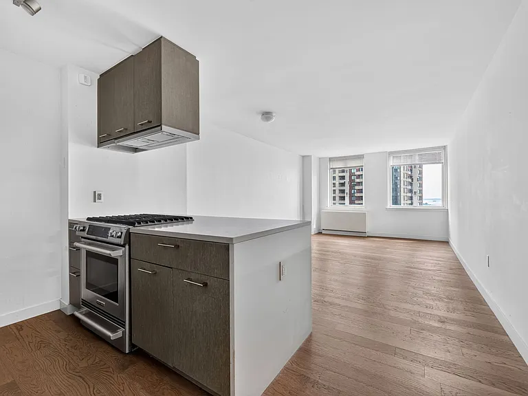 225 Rector Pl #22F — Photo 4