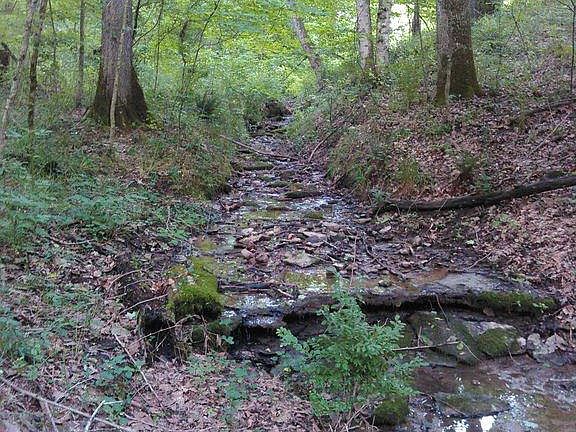 4th image of 3234 Sugar Creek Pike Lot 4