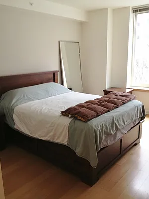 Rented by NY Living Solutions | media 2