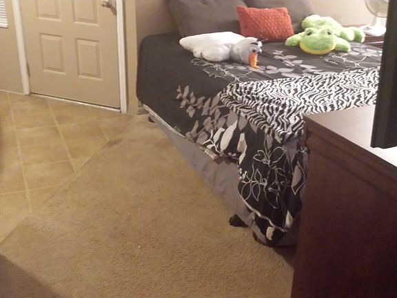 beautiful carpet and linolium