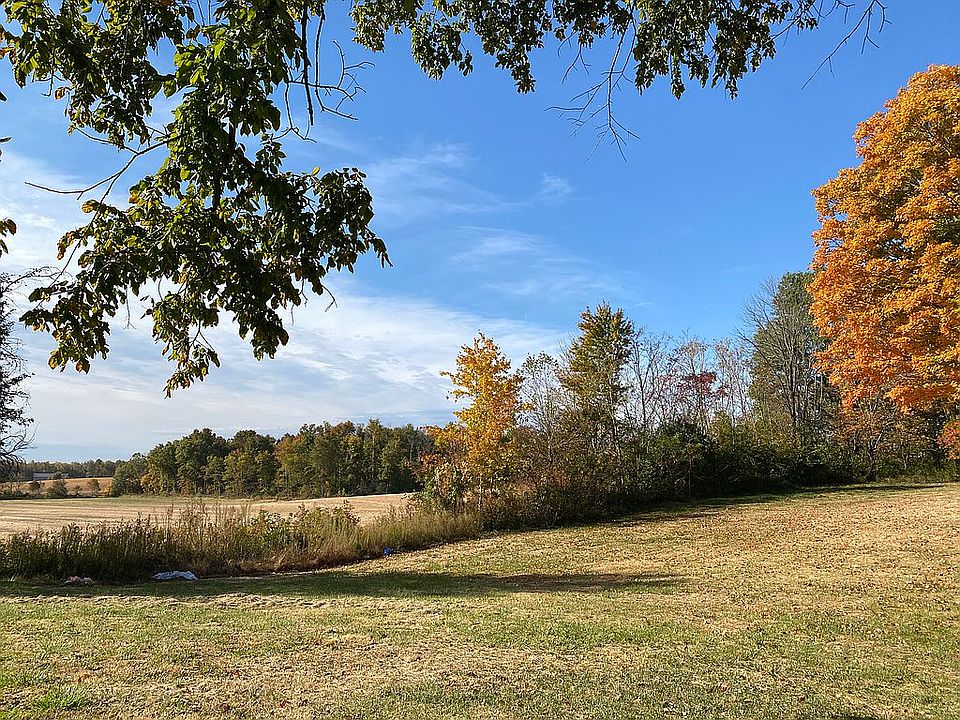 Adjacent lot from tree line 