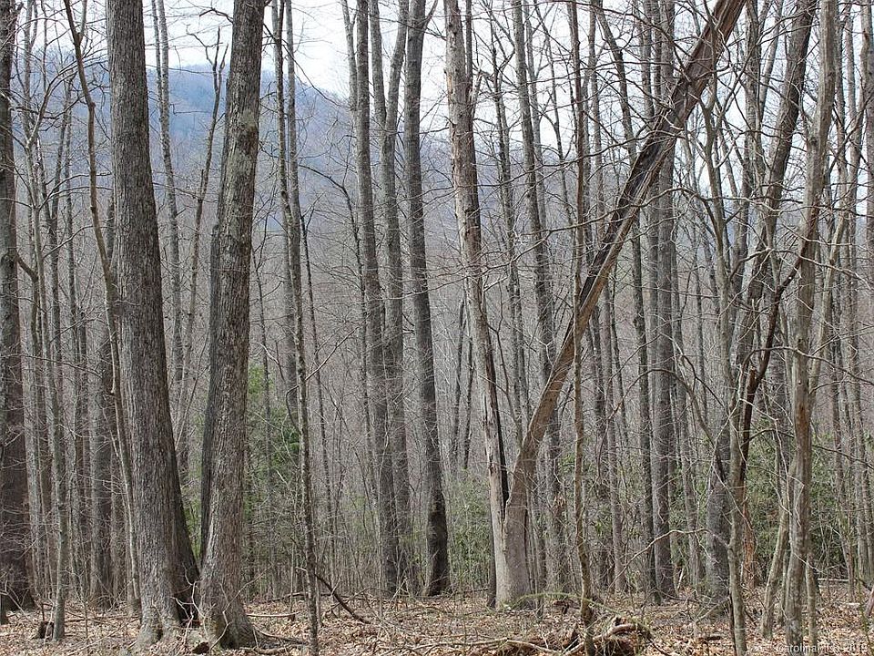 1st image of 0 Wooded Valley Ln