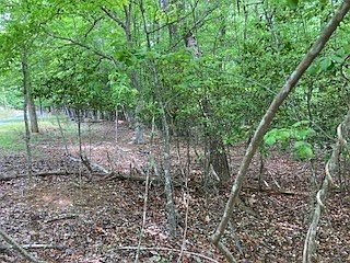 4th image of LOT 708 Kismet Ct