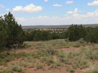1749 Chevelon Ave, Heber, AZ, 85928
