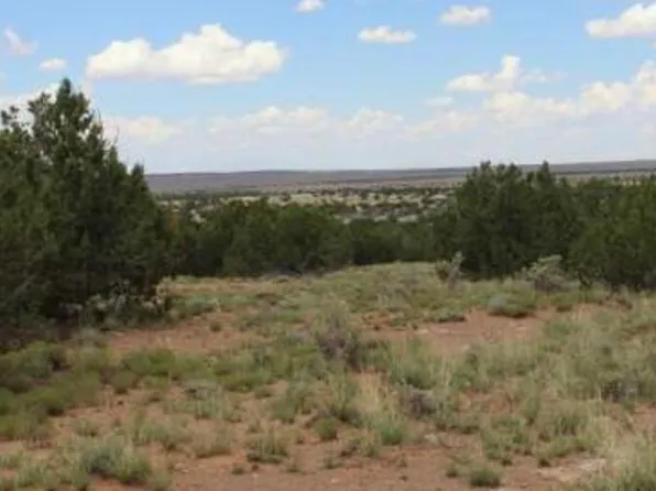 1749 CHEVELON Avenue #-, Heber, AZ 85928