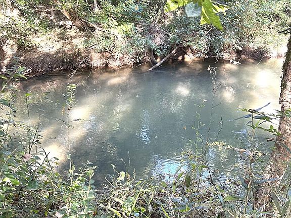 18th image of 450 County Road 28