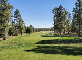 4480 W Shaggy Bark Rd, Show Low, AZ 85901