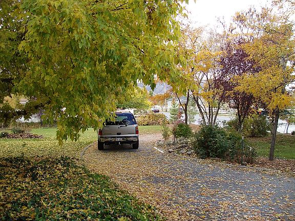 Circular driveway in front