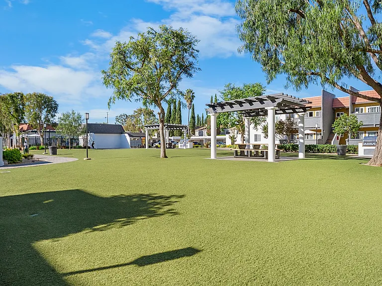 Solara Apartment Homes — Photo 43
