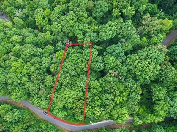 LOT 20 Bonnevista Dr, White Pine, TN 37890