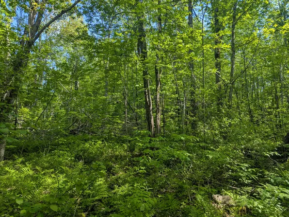 M10L47 Lampson Road, Liberty, ME 04949
